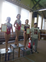 Чемпионат и первенство Рязанской области по спортивной гимнастике 15-17 апреля 2015