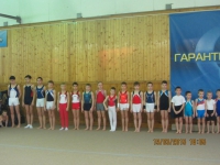 Чемпионат и первенство города Рязани по спортивной гимнастике. 18-19 марта 2015 года