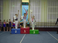 Чемпионат и первенство города Рязани по спортивной гимнастике, посвященные Всероссийскому Дню гимнастики