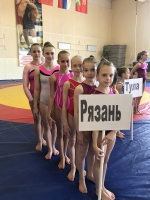 С 21 по 22 апреля 2018 года  прошло открытое первенство города Новомосковска по спортивной гимнастике.