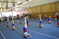 В нашей школе  прошли открытые занятия по спортивной гимнастике