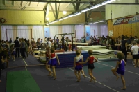 18 октября 2018 года состоялось открытие чемпионата и первенства города Рязани по спортивной гимнастики