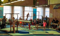 Соревнования по спортивной гимнастике, посвященные Всероссийскому Дню гимнастики