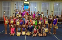 Соревнования по спортивной гимнастике, посвященные Всероссийскому Дню гимнастики